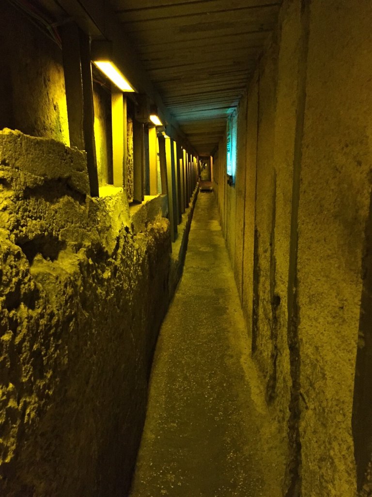 610 tunnel di Ezechia.jpg